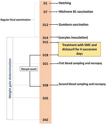 S-Methylcysteine Ameliorates the Intestinal Damage Induced by Eimeria tenella Infection via Targeting Oxidative Stress and Inflammatory Modulators